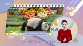 国产精品美女久久久久网